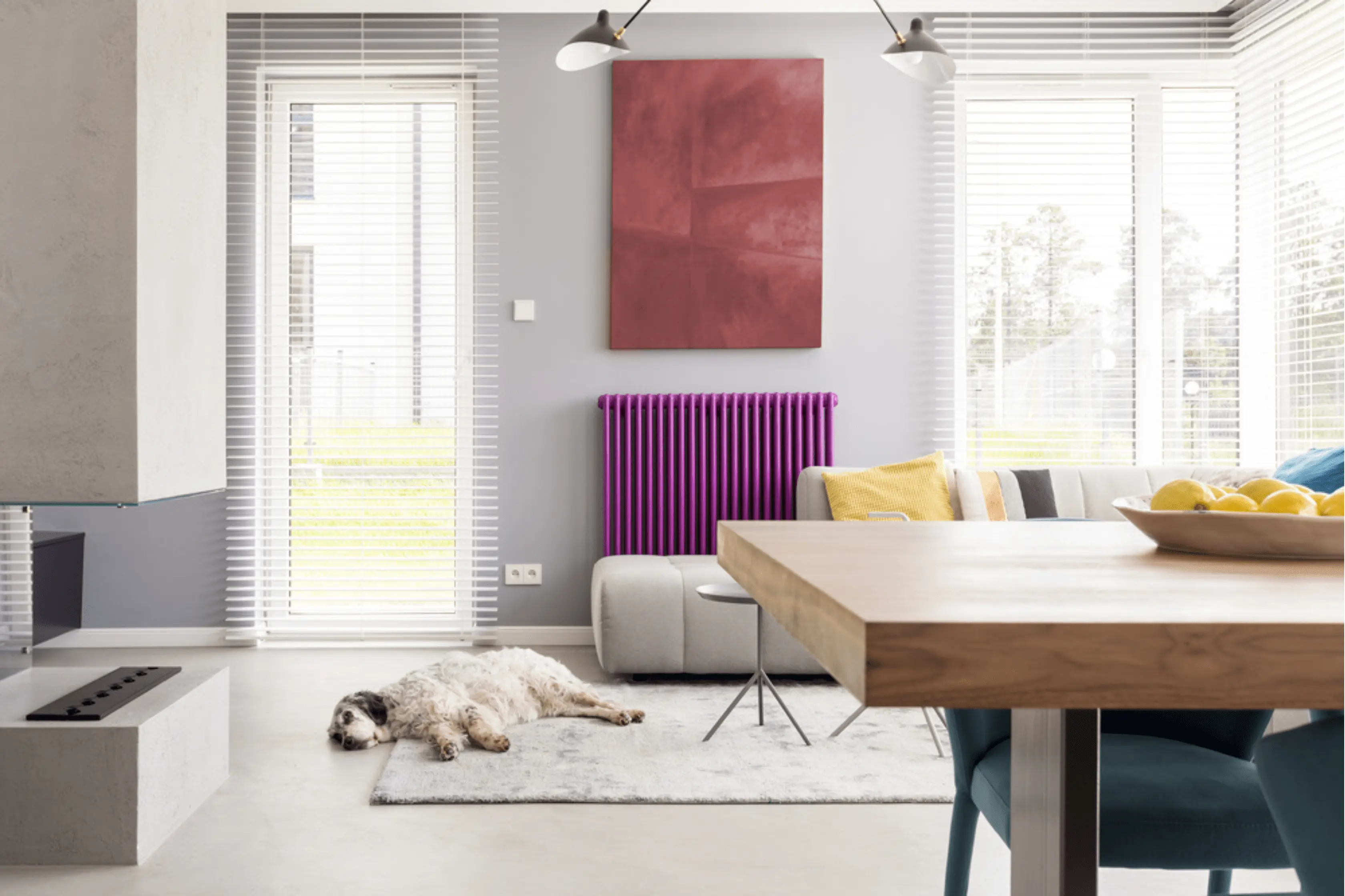 Coloured Radiator In Modern Living Room Setting